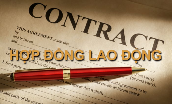 hợp đồng lao động