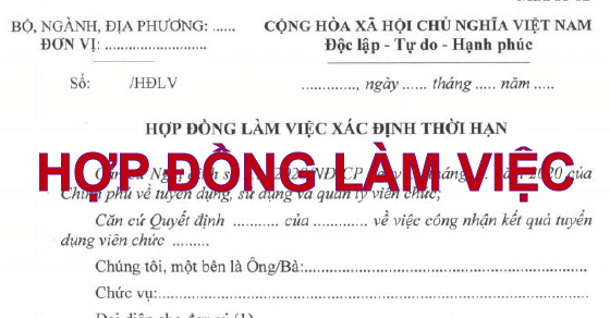 hợp đồng làm việc viên chức